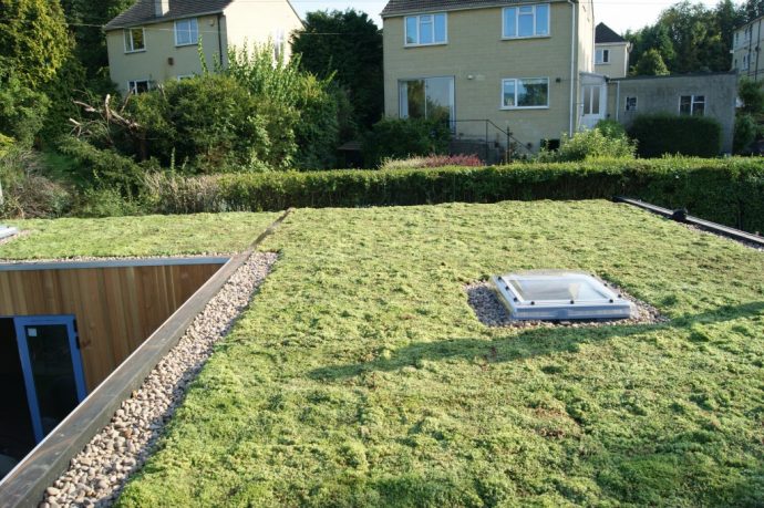 flat roof with grass over it